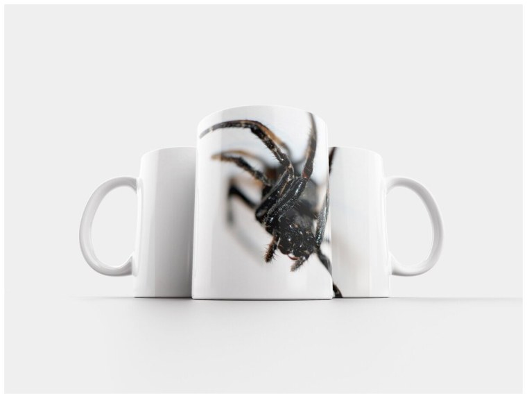 Кружка пауки