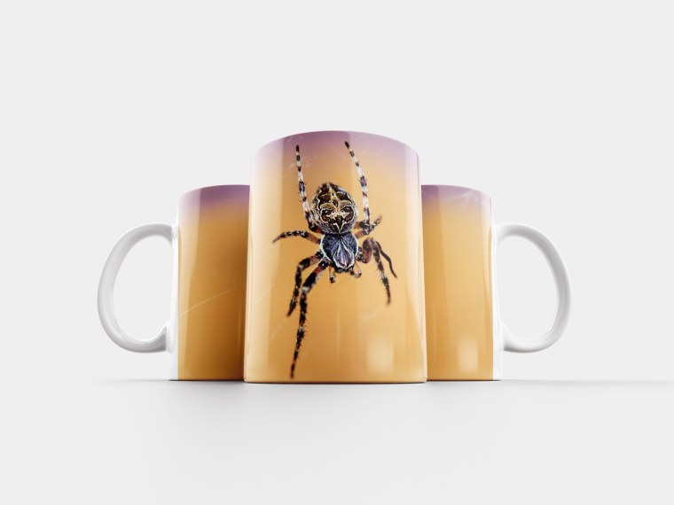 Кафе паук на кружку