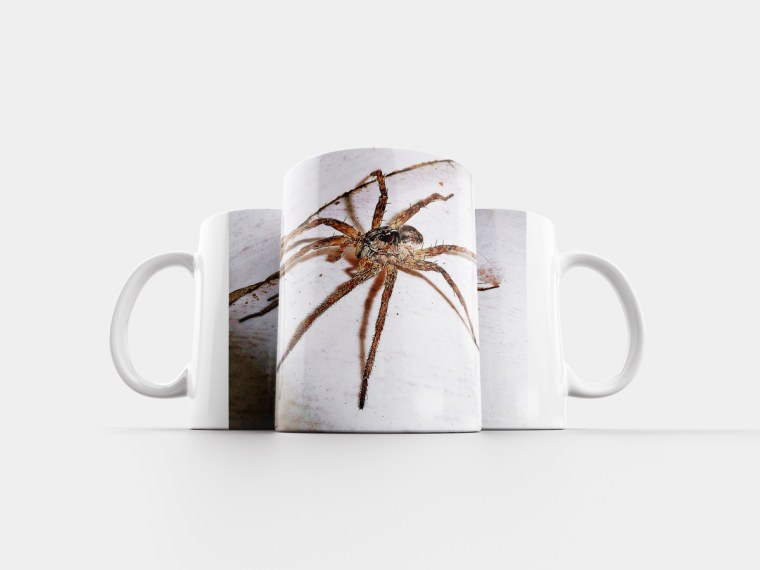 Кружка с пауком внутри