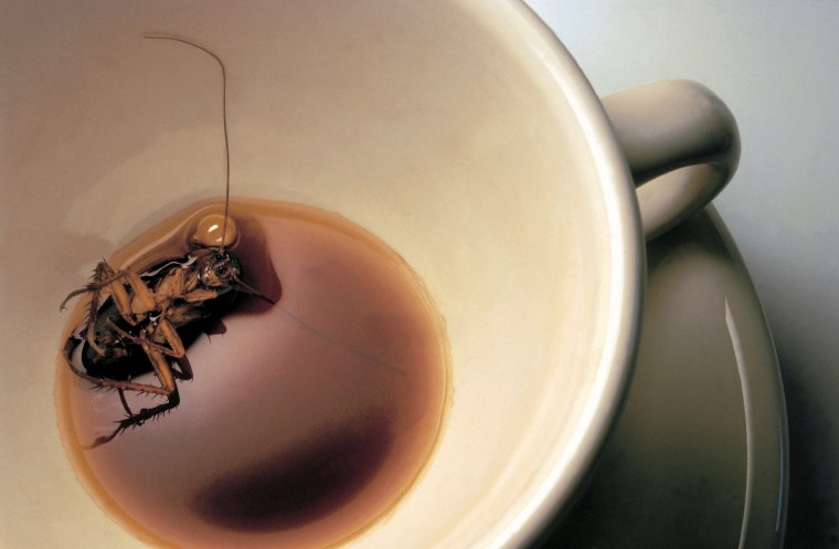 Паук в чашке с чаем