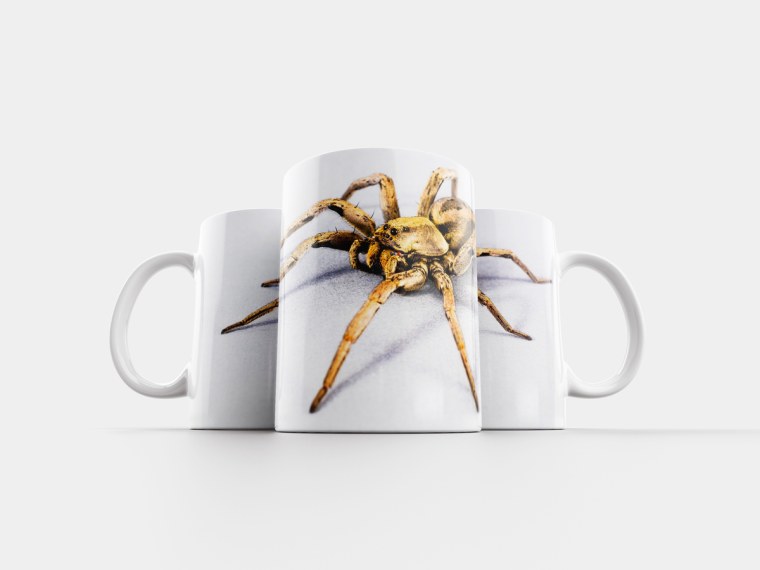 Чернильный паук