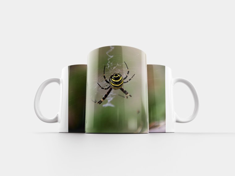 Кружка с пауком на дне