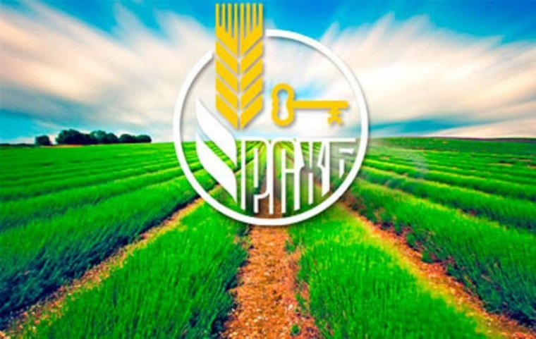 Россельхозбанк картинки