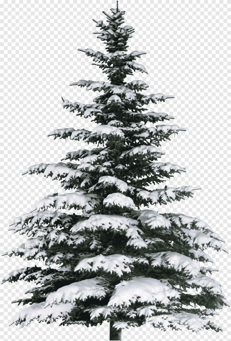 Елочка на белом фоне