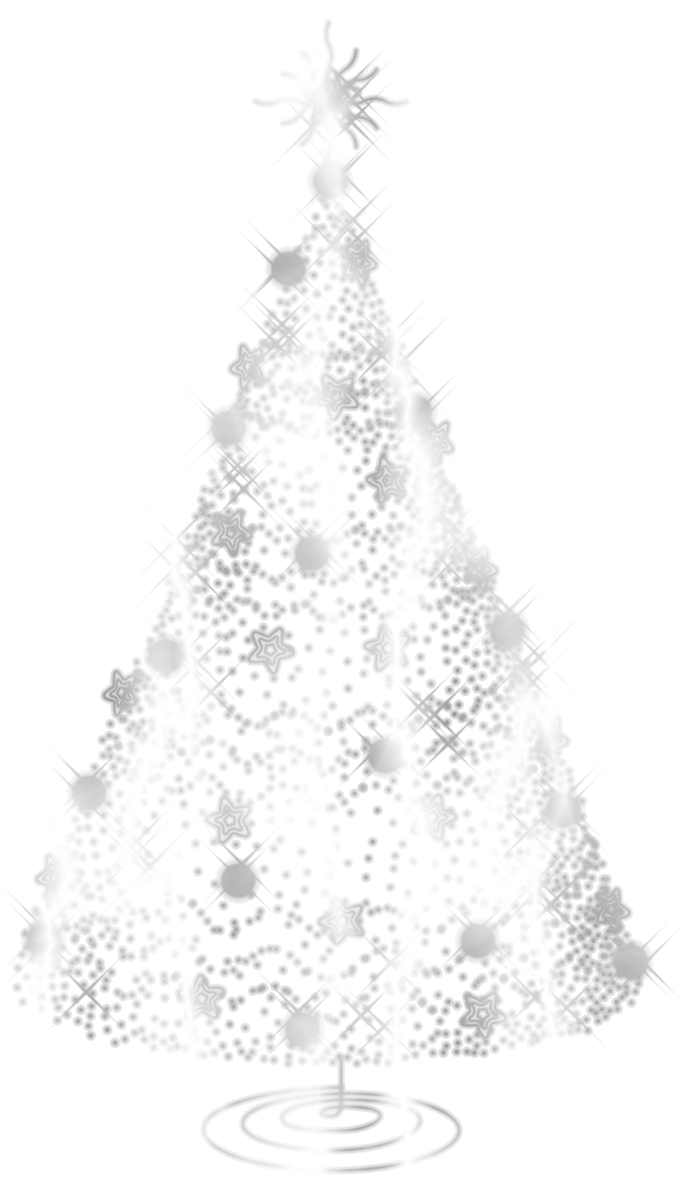 Елка Annapolis fir Tree