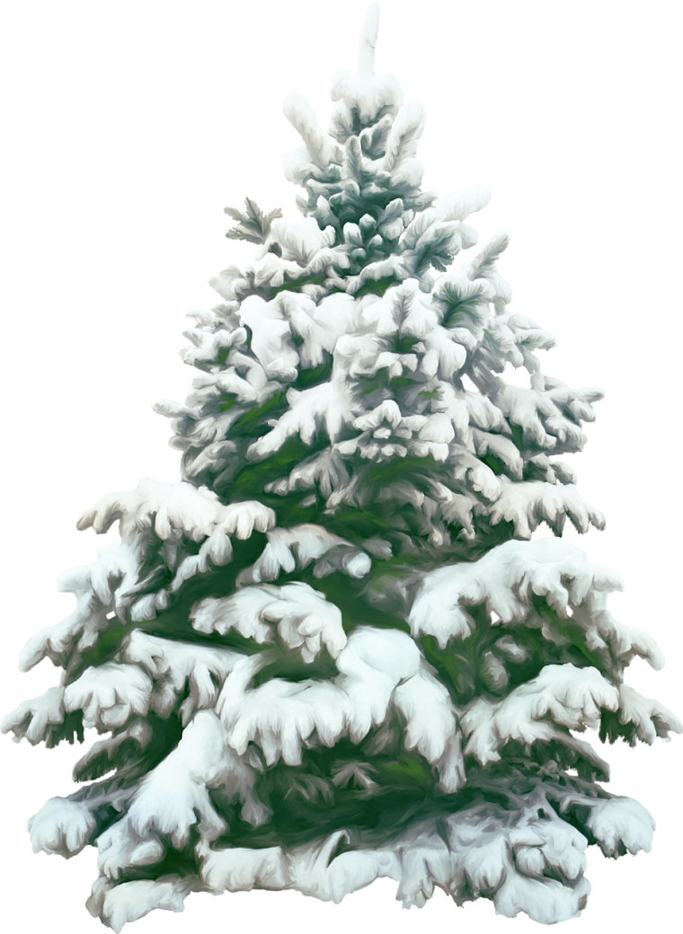 Новогодняя елка на прозрачном фоне
