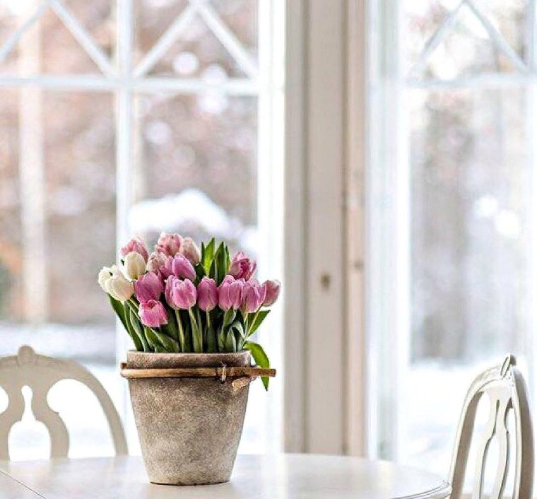 Цветы на зимнем подоконнике