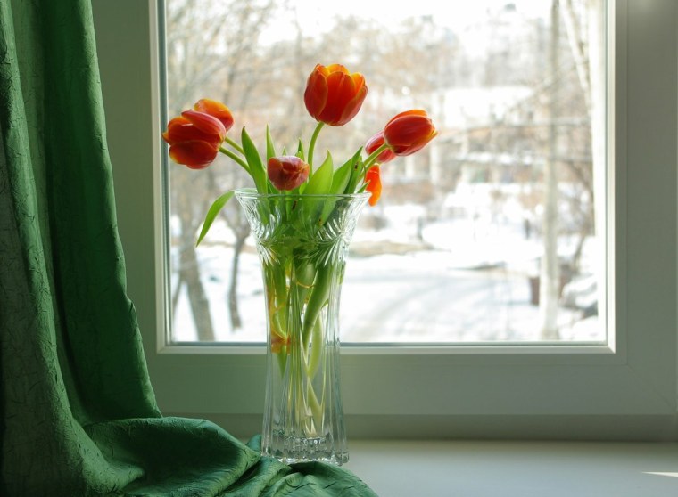 Цветы в вазе на окне