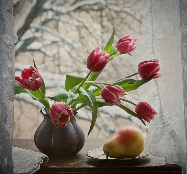 Цветы на зимнем окне