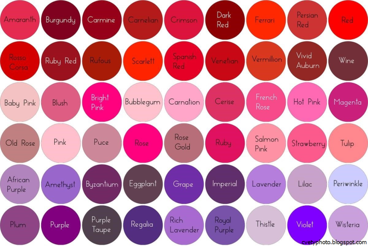 Оттенки розового цвета