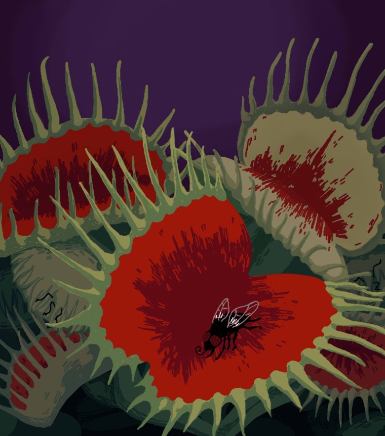 Мухоловка Истра квест