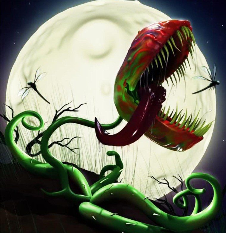 Венерина мухоловка vyjcnh