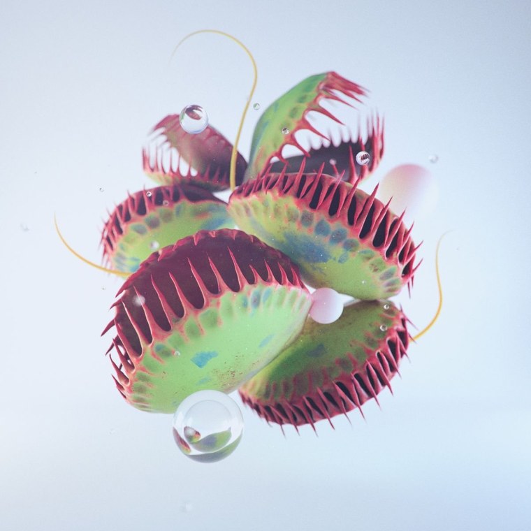 Мухоловка стилизация