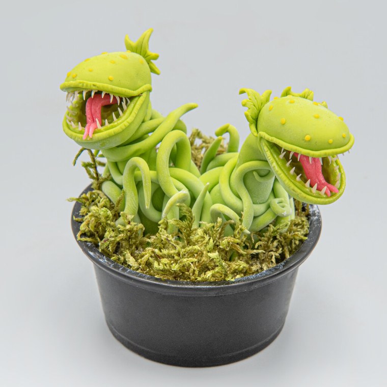 Венерина мухоловка монстр