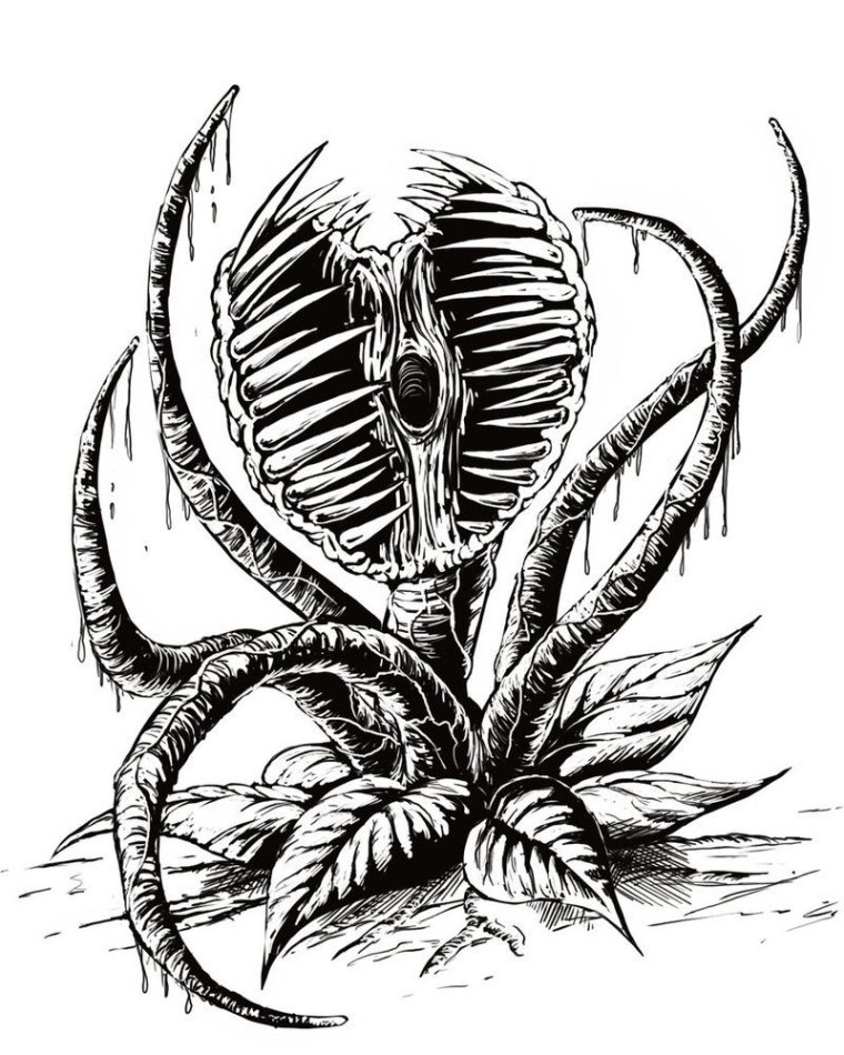 Венерина мухоловка