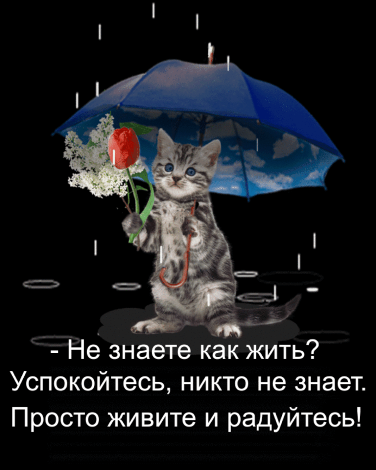 Доброго вечера в дождливый день