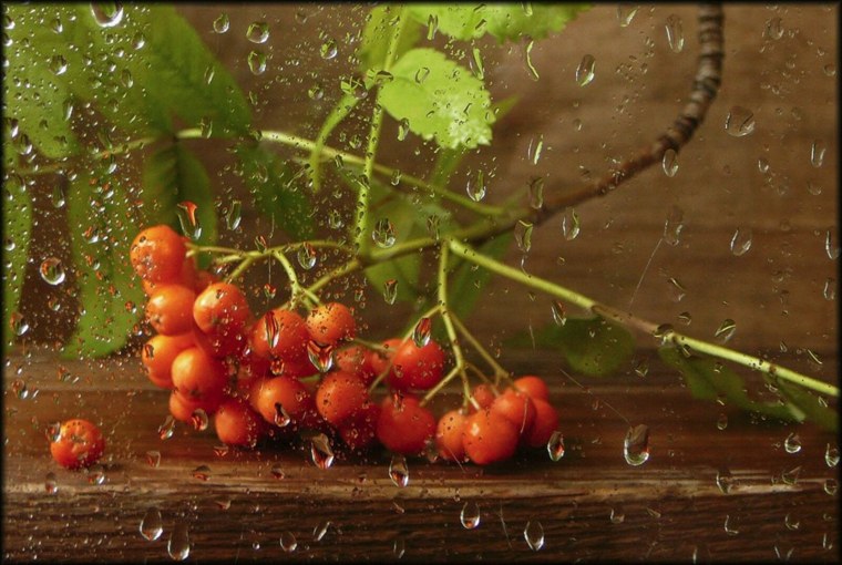 Хорошего настроения в дождливую осень