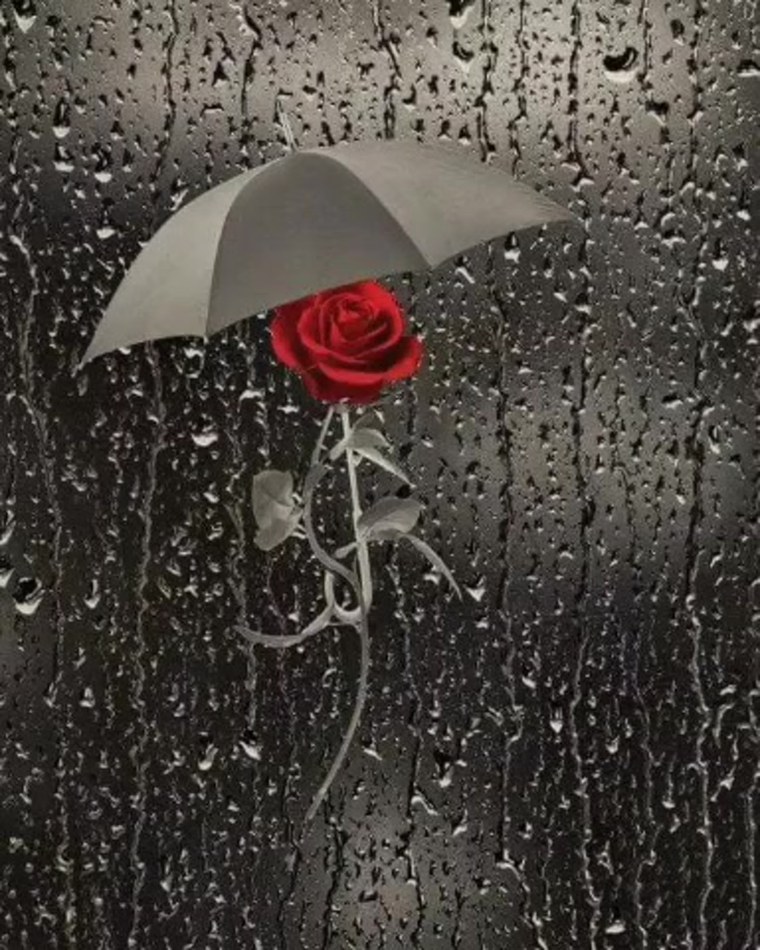 Цветочек под дождем