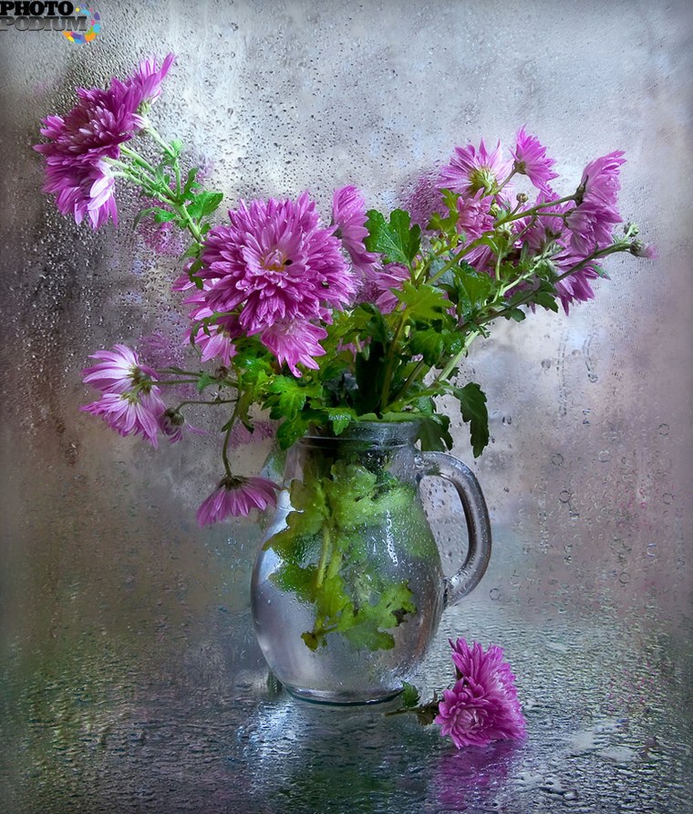 Брежицкая Елена Фотонатюрморты