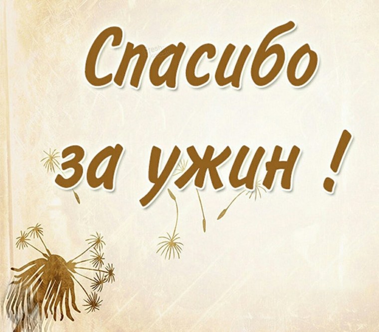 Спасибо за вкусный ужин
