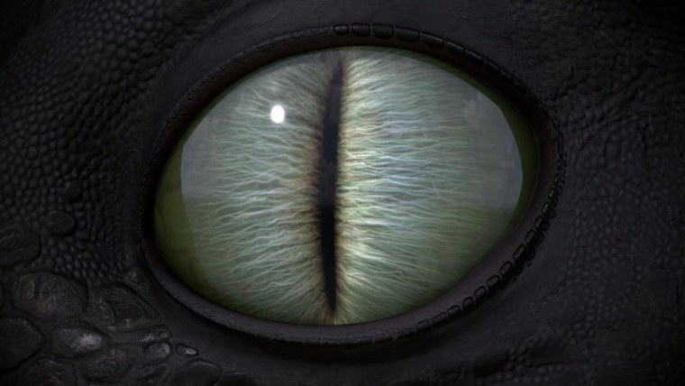 Глаза дракона ночная фурия