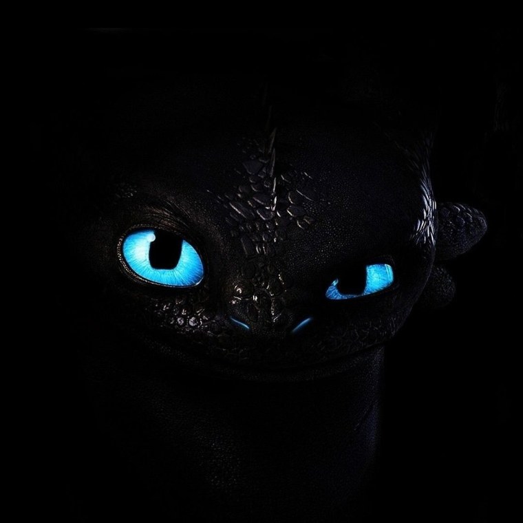 Глаза дракона ночная фурия