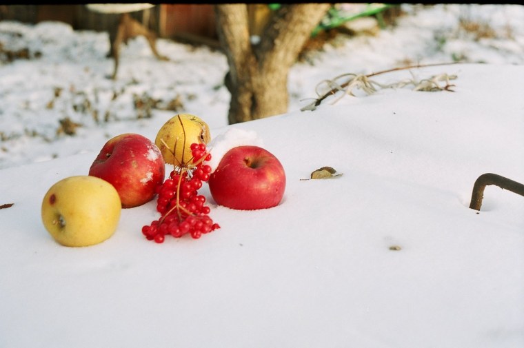 Яблоки на снегу фото