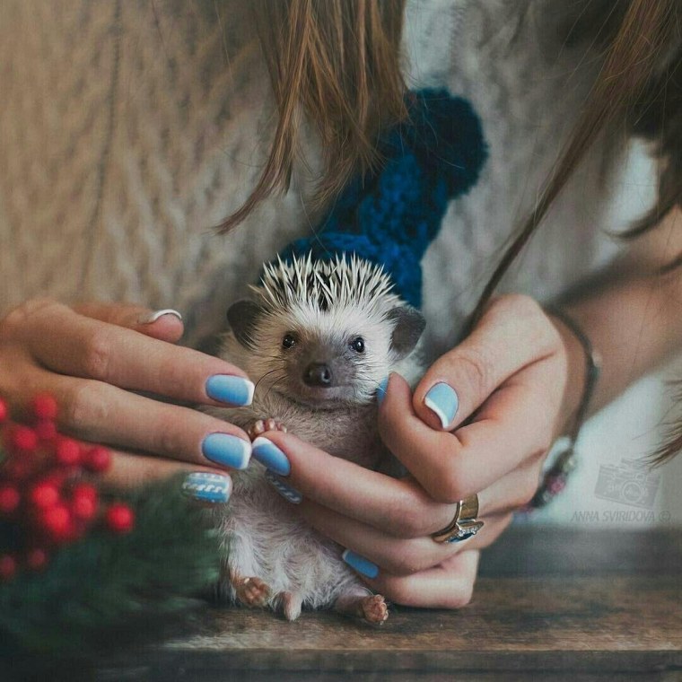 Девушка с Ёжиком