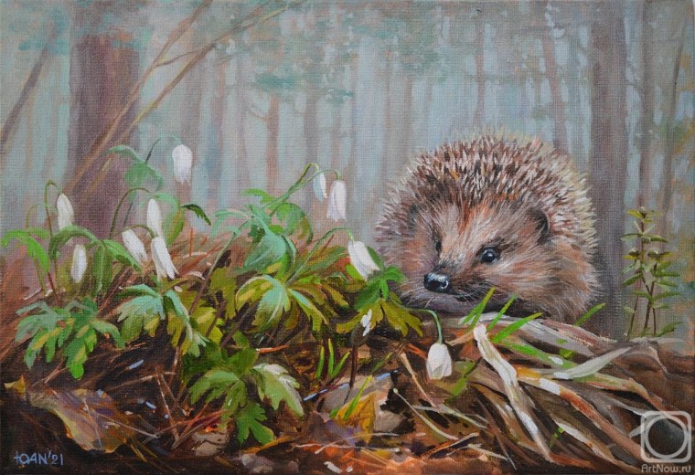 Неприятель Юлия Александровна картины