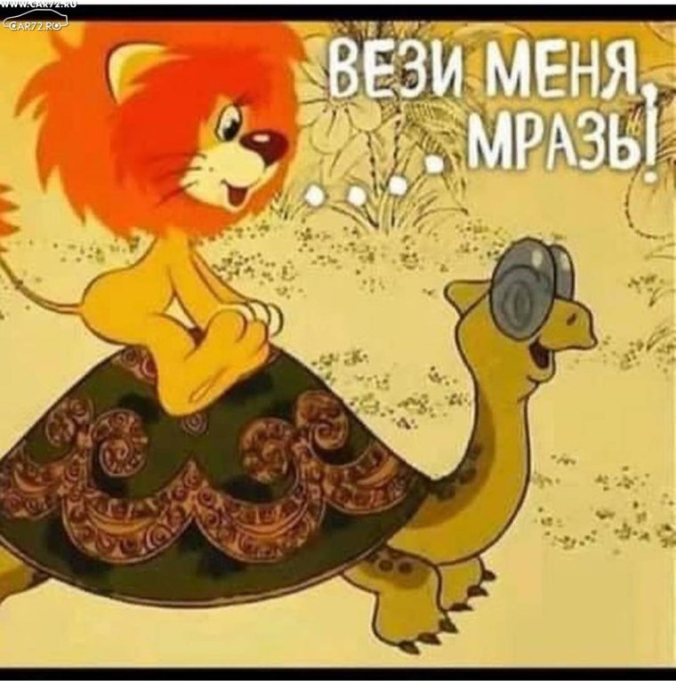 Мультфильм черепаха и Львенок мультфильм
