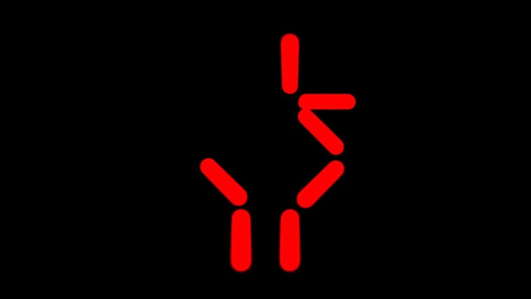 Цифры хищника