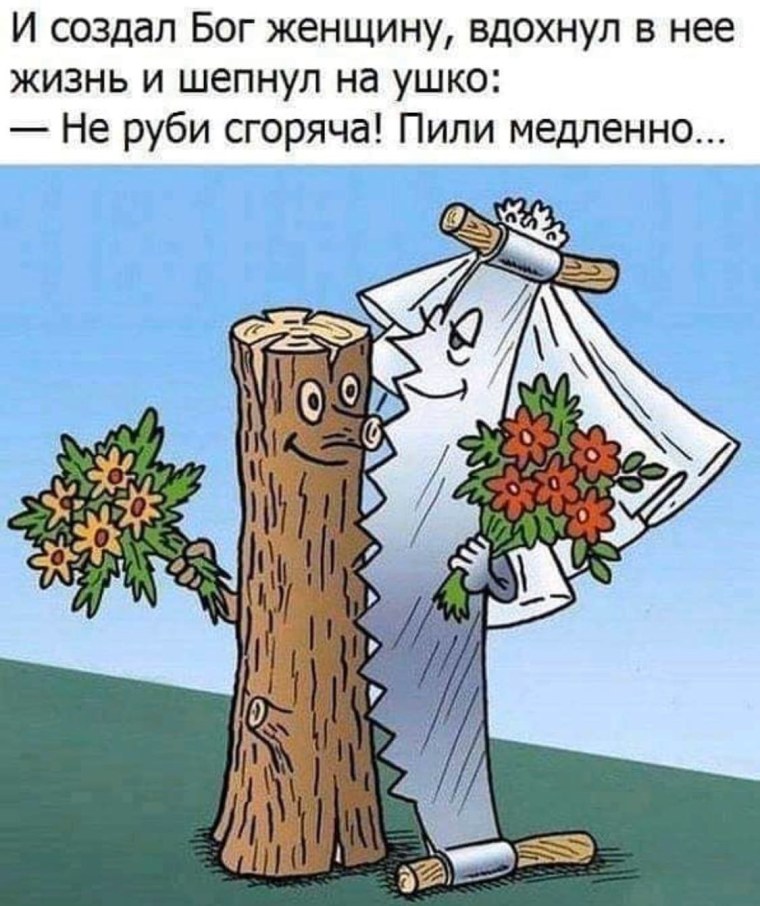 Деревянная свадьба прикол