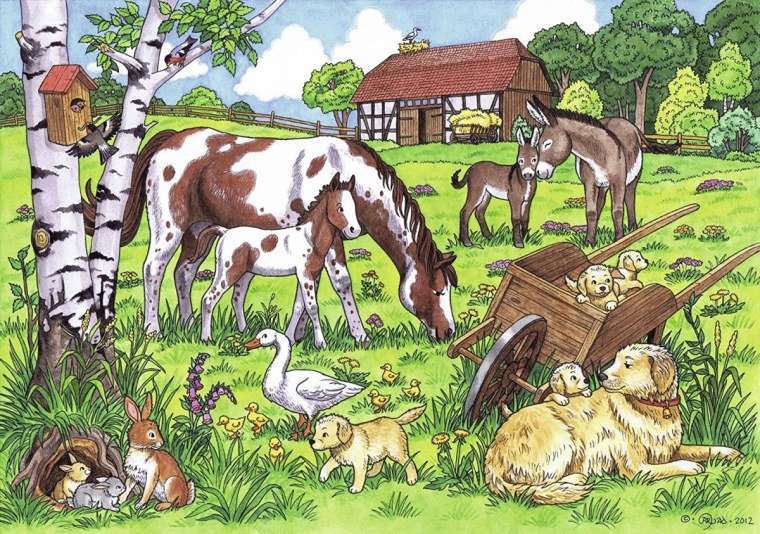 Домашние животные в деревне