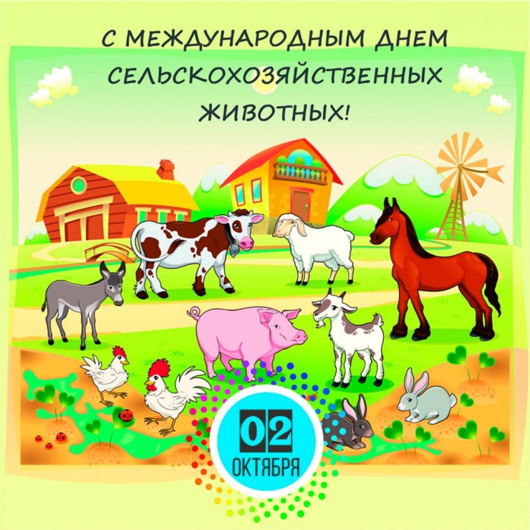 День домашние животные