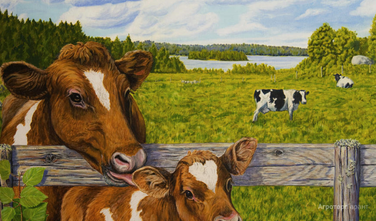 Теленок картина