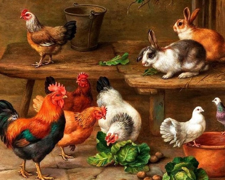 Домашние животные в деревне