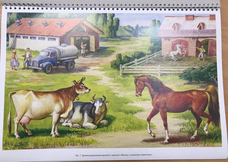 Наглядное пособие домашние животные