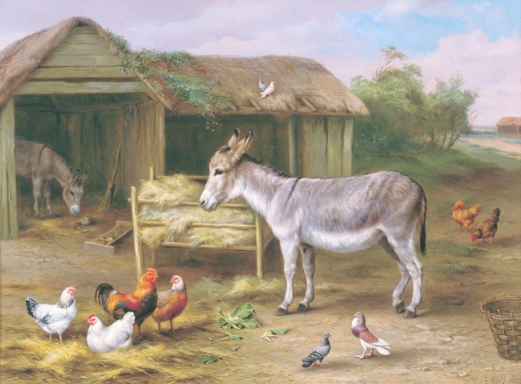 Ферма Скотный двор