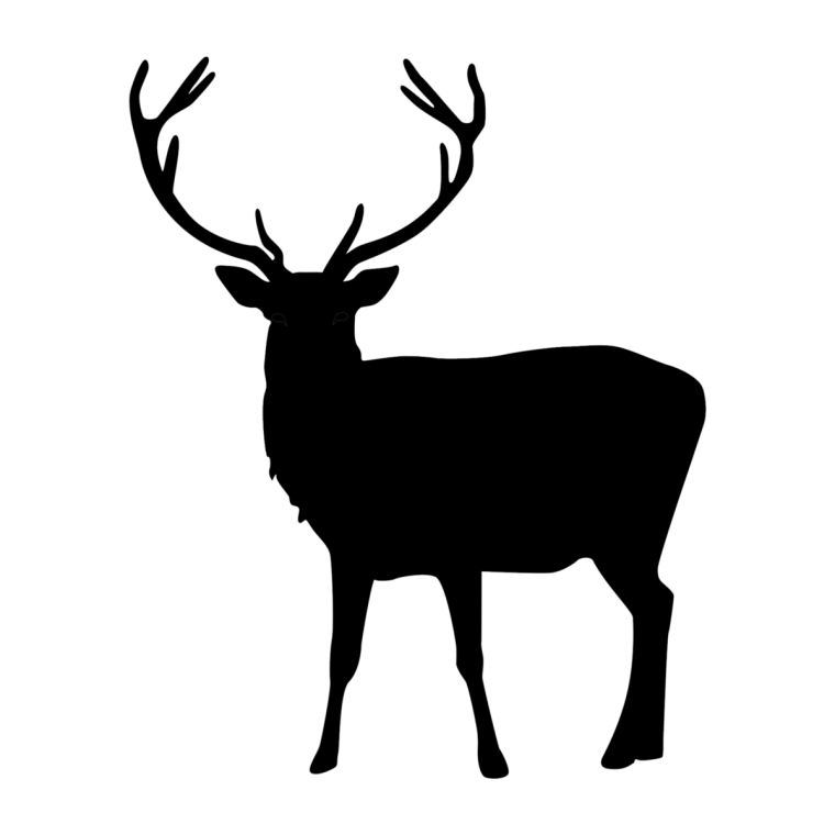 Силуэт оленя