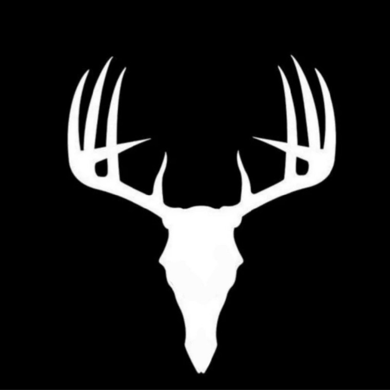 Череп оленя с рогами