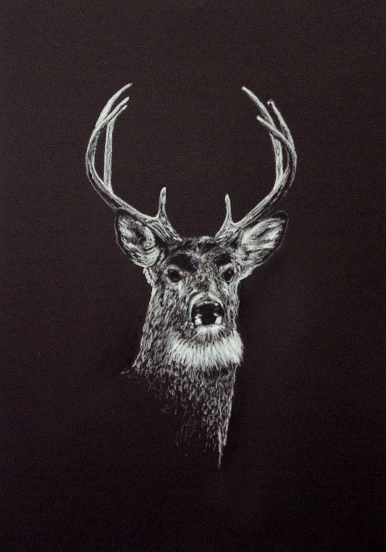 Олень на черной бумаге