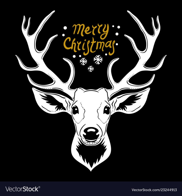 Рисунок оленя настоящего