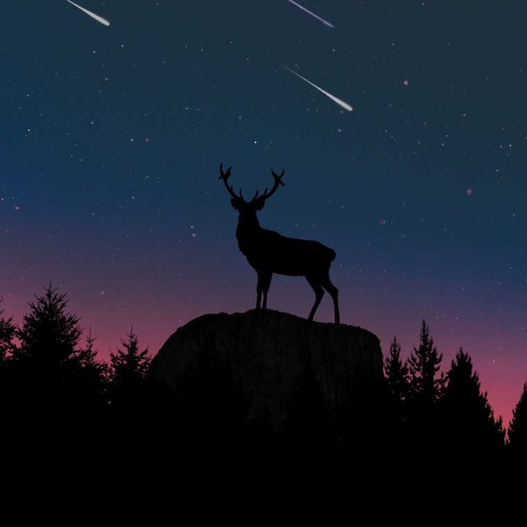 Силуэт оленя в лесу