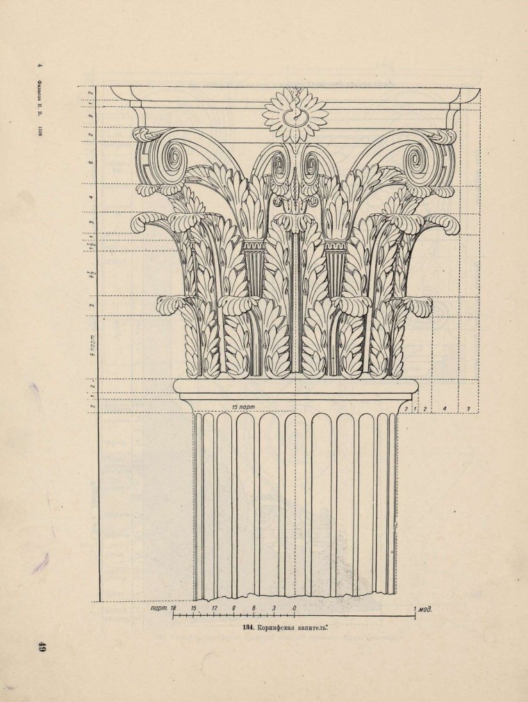 Кипител карифскый ордер