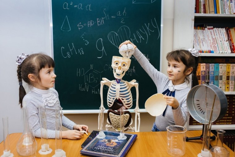 День науки в школе