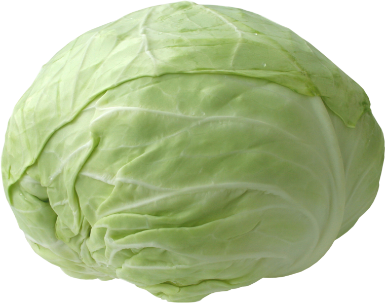 Капуста Слава