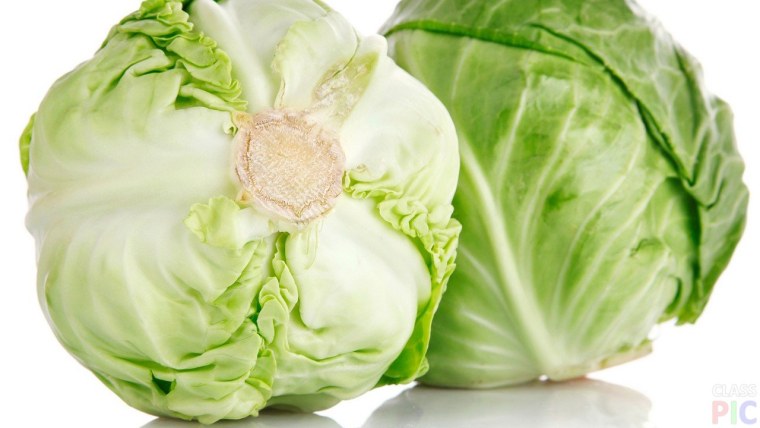 Плед капустный лист