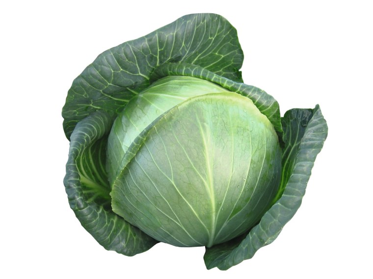 Кочан белокочанной капусты