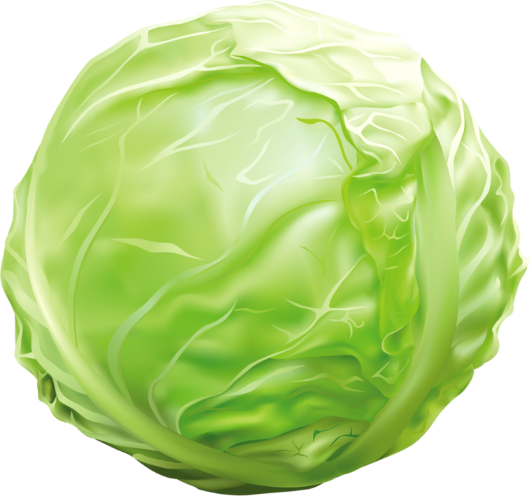 Капуста без фона