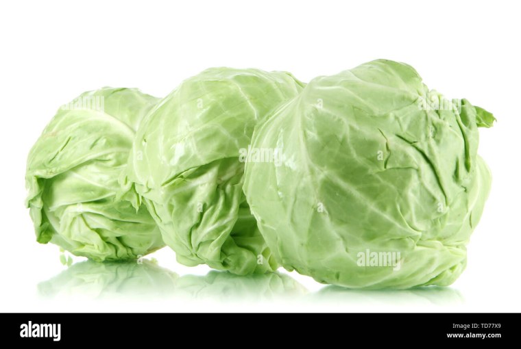 Капуста белокочанная на белом фоне